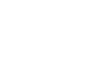 Cervello